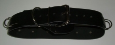 BDSM Taillengurt 4,0 cm x 80,0 cm mit 6 D-Ringen Klemmschutz und zusätzlichen O-Ring Lederriemen von Lwph