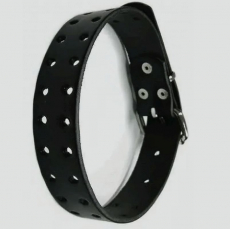 Leder-Halsband schwarz 2-reihig gelocht Schnallen-Verschluss 3,0 cm x 50,0 cm mit 30 parallel Löchern in 6 Farben